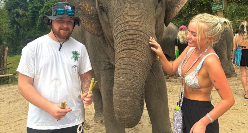 British couple stuck in Thailand with mounting £100,000 hospital bill after soldier slipped at tourist hotspot they had found on TikTok and shattered his skull and leg - and he's not the first victim