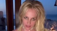 Britney Spears breaks silence on shocking plane act that got cops involved