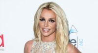 Britney Spears' Strange Actions And 'Difficult' Behavior On Private Jet Leaves Flight Attendants 'Alarmed'
