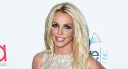 Britney Spears' Strange Actions And 'Difficult' Behavior On Private Jet Leaves Flight Attendants 'Alarmed'