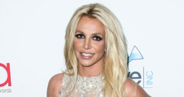 Britney Spears' Strange Actions And 'Difficult' Behavior On Private Jet Leaves Flight Attendants 'Alarmed'