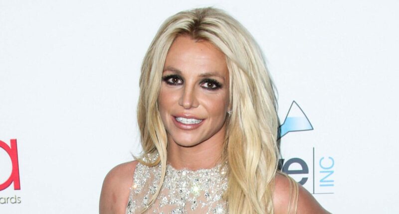 Britney Spears' Strange Actions And 'Difficult' Behavior On Private Jet Leaves Flight Attendants 'Alarmed'