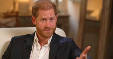 Buckingham Palace releases statement after Prince Harry's bombshell interview