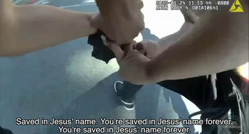 California officer's gun stolen by half-naked suspect who was later shot dead by another officer: bodycam