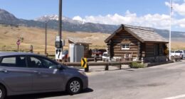 Cape Coral, Florida man gored by bison at Lake Village, near Yellowstone Lake, in year's first attack at Yellowstone National Park
