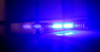 Carpentersville McDonald's attack: Multiple arrested after woman battered after 'derogatory' remarks, police say