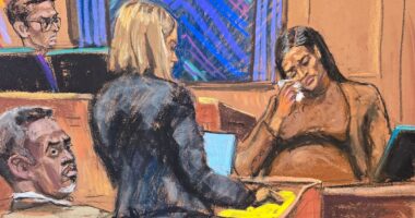 Cassie exposes humiliating sex acts with strangers and Diddy's disgusting fetish in court as his kids watch on