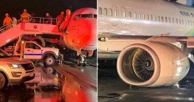 Cause of failed Alaska Airlines landing gear that sent passengers screaming revealed