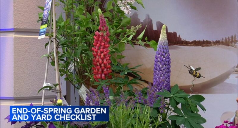 Chalet Horticulturist Jennifer Brennan unveils Chalet Horticulturist Jennifer Brennan unveils end-of-spring gardening playbook