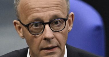 Chaos in Germany as Friedrich Merz fails to be elected chancellor after MPs rebel amid anger at AfD being designated 'far right',  country's huge bill to defend Ukraine and migrant crisis