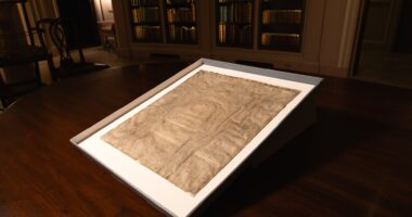 Cheap $27 ‘copy’ of historic Magna Carta is revealed to be an ORIGINAL worth 78,000x more