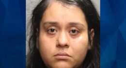 Chicago Mom Stabs 7-Year-Old Son Because He Made a Mess in Apartment