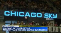 Chicago Sky Foundation looking for small businesses, women-owned businesses to support | Applications open now