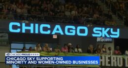Chicago Sky Foundation looking for small businesses, women-owned businesses to support | Applications open now