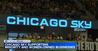 Chicago Sky Foundation looking for small businesses, women-owned businesses to support | Applications open now