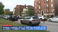 Chicago crime: Aurionah-Rakii-Karie Parker-White charged after 3 young children stabbed on South Harvard Avenue, police say