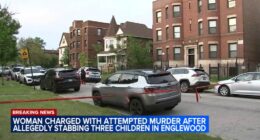Chicago crime: Aurionah-Rakii-Karie Parker-White charged after 3 young children stabbed on South Harvard Avenue, police say