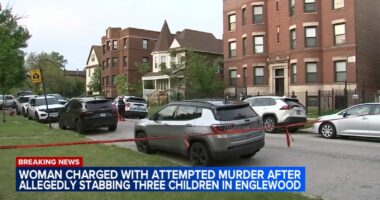 Chicago crime: Aurionah-Rakii-Karie Parker-White charged after 3 young children stabbed on South Harvard Avenue, police say