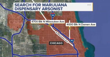 Chicago crime: Police searching for arson suspect in Molotov cocktail attacks to cannabis dispensaries on Milwaukee, Damen avenues