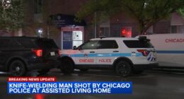 Chicago shooting: Man with knife at Grand Regency of Jackson Park fatally shot by officers in Grand Crossing, police say