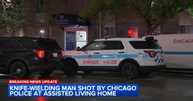 Chicago shooting: Man with knife at Grand Regency of Jackson Park fatally shot by officers in Grand Crossing, police say