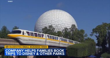 Clarendon Hills, Illinois small business The Park Planners helps families plan, book trips to Disney, other amusement parks