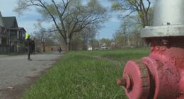 Cleveland looks to improve neighborhoods by repurposing vacant lots: Mission Possible