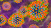 Concertgoers exposed to measles as 55,000 people are urged to check for symptoms after attending show