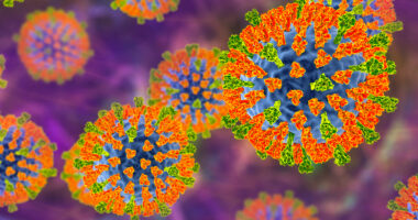 Concertgoers exposed to measles as 55,000 people are urged to check for symptoms after attending show