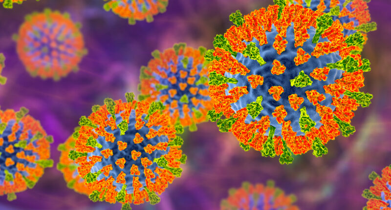 Concertgoers exposed to measles as 55,000 people are urged to check for symptoms after attending show