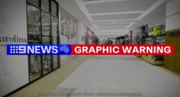 Coroner releases 3D recreation of hero cop taking down Bondi Junction attacker