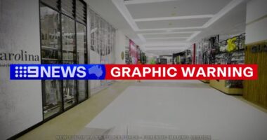 Coroner releases 3D recreation of hero cop taking down Bondi Junction attacker