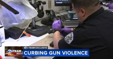 Crime Gun Intelligence Center's expanded effort to track, prevent gun violence in Chicago deemed a success, game changer