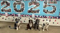 Crisis Response Canines bring comfort to Bay Village after student athlete's passing