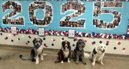 Crisis Response Canines bring comfort to Bay Village after student athlete's passing