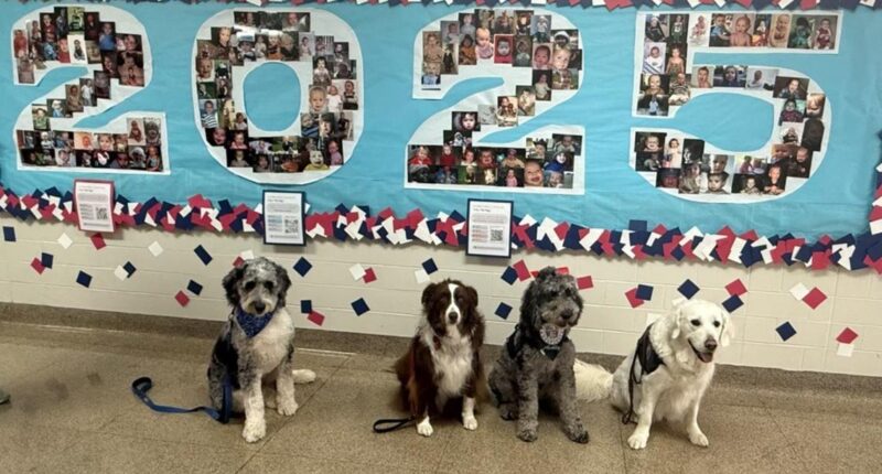 Crisis Response Canines bring comfort to Bay Village after student athlete's passing