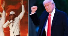 Cruel irony for pro-Trump Cuban rapper... as ICE circles