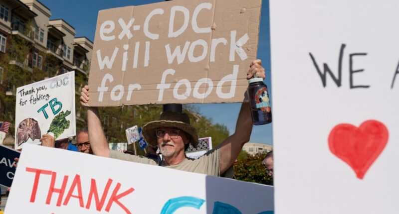 Cuts have eliminated more than a dozen US government health-tracking programs