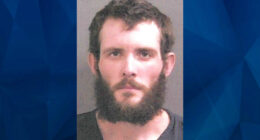 Dad Charged After 3-Month-Old Baby Left With Brain Bleed, Likely Developmental Issues