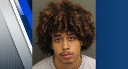 Dad arrested in Orange County on murder, child abuse charges after 3-month-old baby dies, deputies say