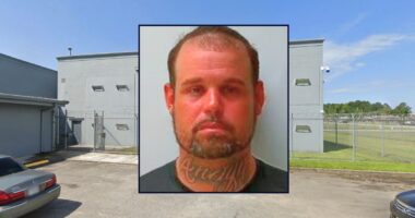Dad "forced" busload of kids off road after assault: Cops