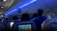 Delta fight disrupted by pigeon flying around inside cabin, video shows