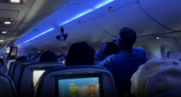 Delta fight disrupted by pigeon flying around inside cabin, video shows