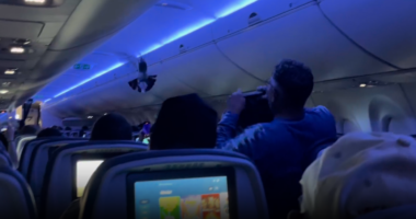 Delta fight disrupted by pigeon flying around inside cabin, video shows