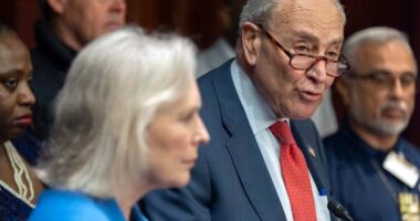 Democrats are deeply pessimistic about the future of their party, an AP-NORC poll finds