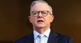 Prime Minister Anthony Albanese has unveiled his new cabinet.