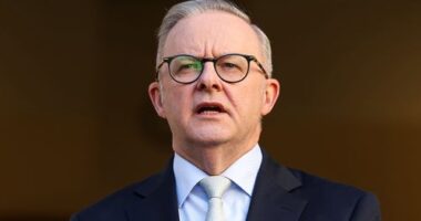Prime Minister Anthony Albanese has unveiled his new cabinet.