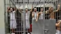 Deported 'Tren de Aragua gangsters' scream in distress in first video from inside El Salvador prison