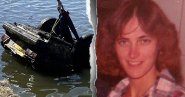 Detectives’ true crime podcast helps dig up breakthrough in case that haunted family: ‘drew audible gasp’