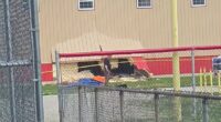Disturbing new theory about why female driver crashed into after school club and killed four young girls